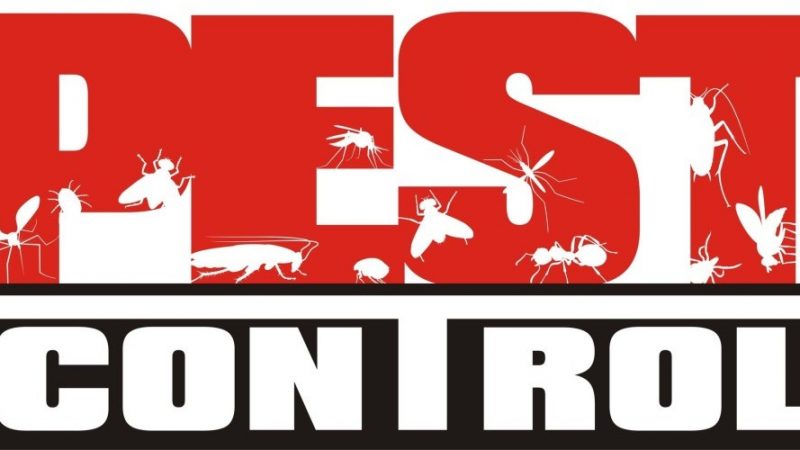 Alarming Signs to Hire Pest Control for Bed Bugs